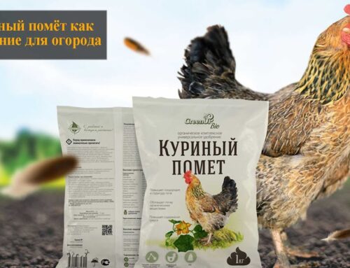 Растения, которые негативно реагируют на куриный помет