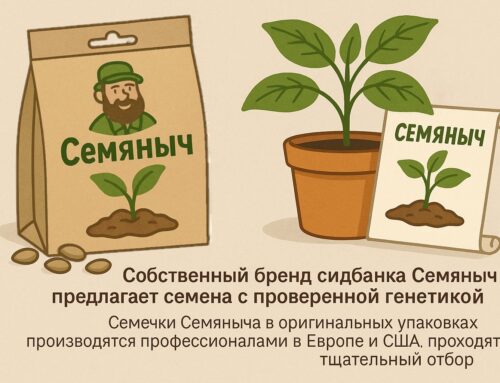 Что предлагает сидбанк Семяныч